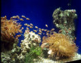 proloco-24-10-2011010004.jpg