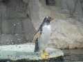 proloco-24-10-2011010006.jpg
