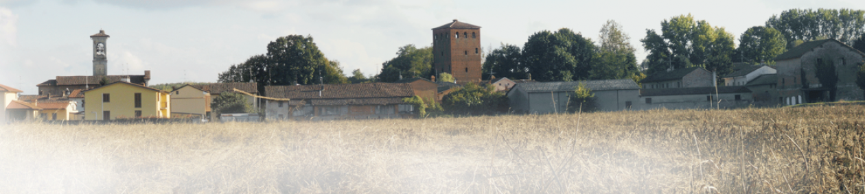 Pro Loco Sant'Alessio con Vialone