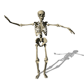skeleton-dancing-animation